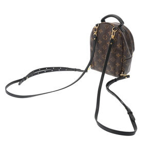 Louis Vuitton Backpack Monogram Daypack Brown Palm Canvas Springs